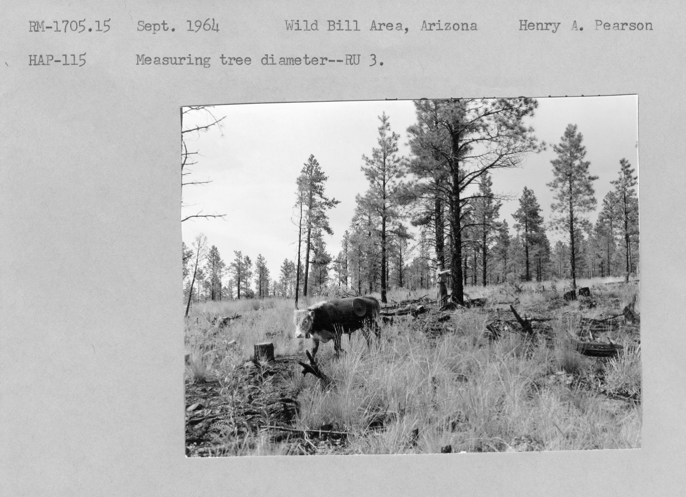 range/grazing study