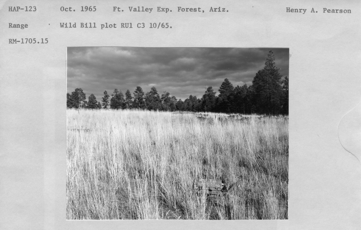 Wild Bill plot RU1 C3. RM-1705.15
