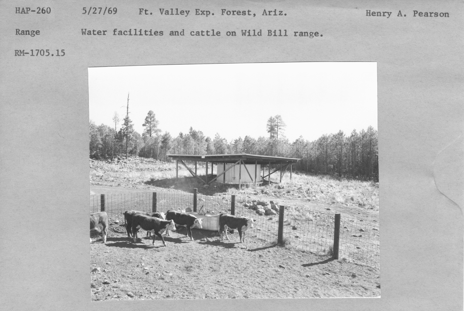 Water facillities and cattle on Wild Bill range. RM-1705.15