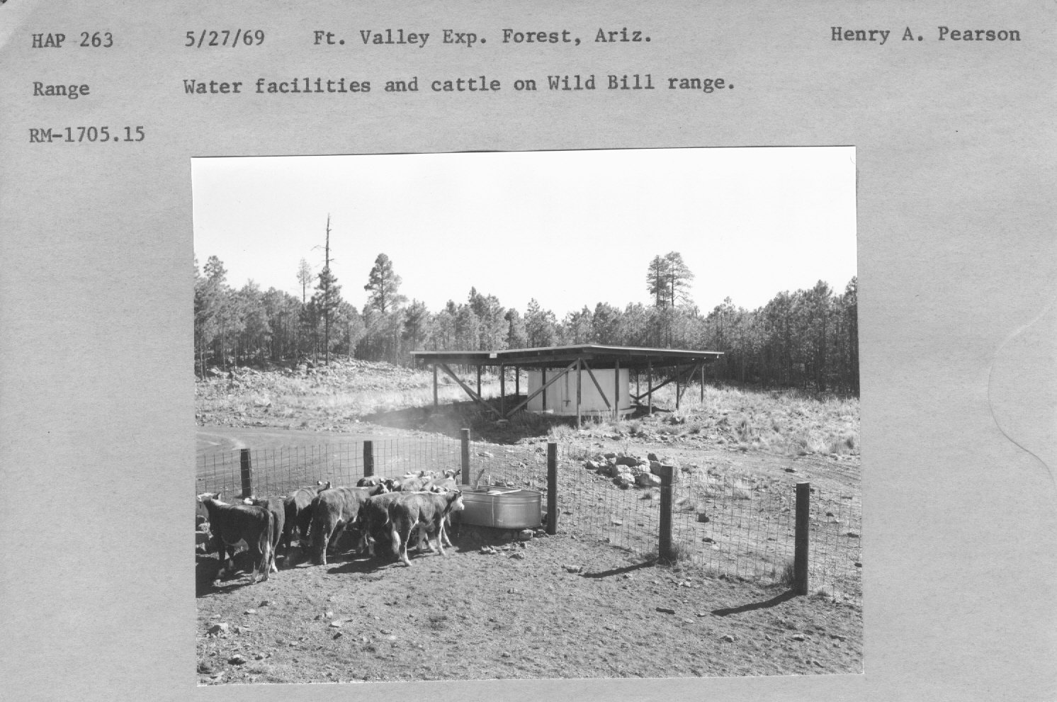 Water facillities and cattle on Wild Bill range. RM-1705.15