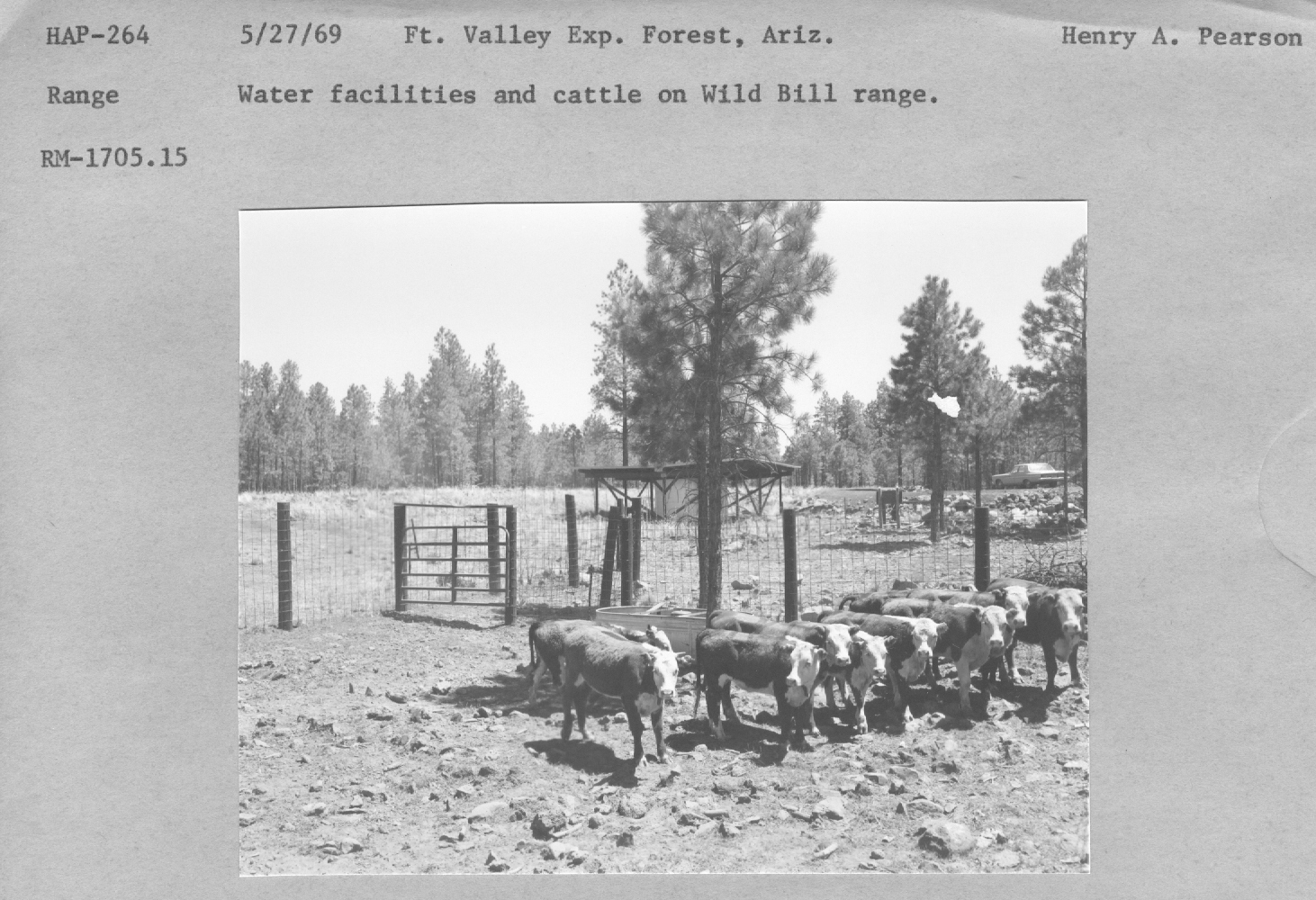 Water facillities and cattle on Wild Bill range. RM-1705.15