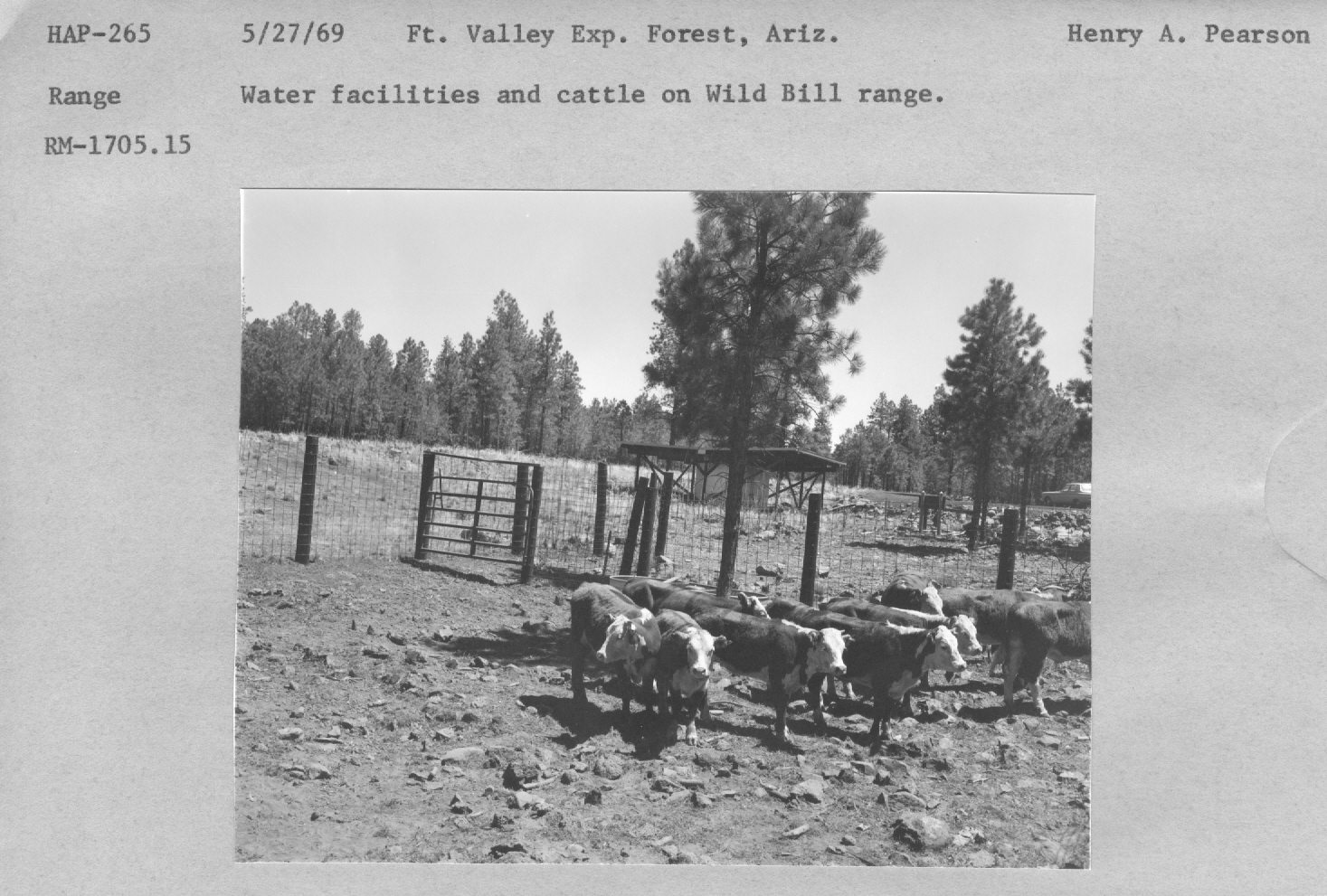 Water facillities and cattle on Wild Bill range. RM-1705.15