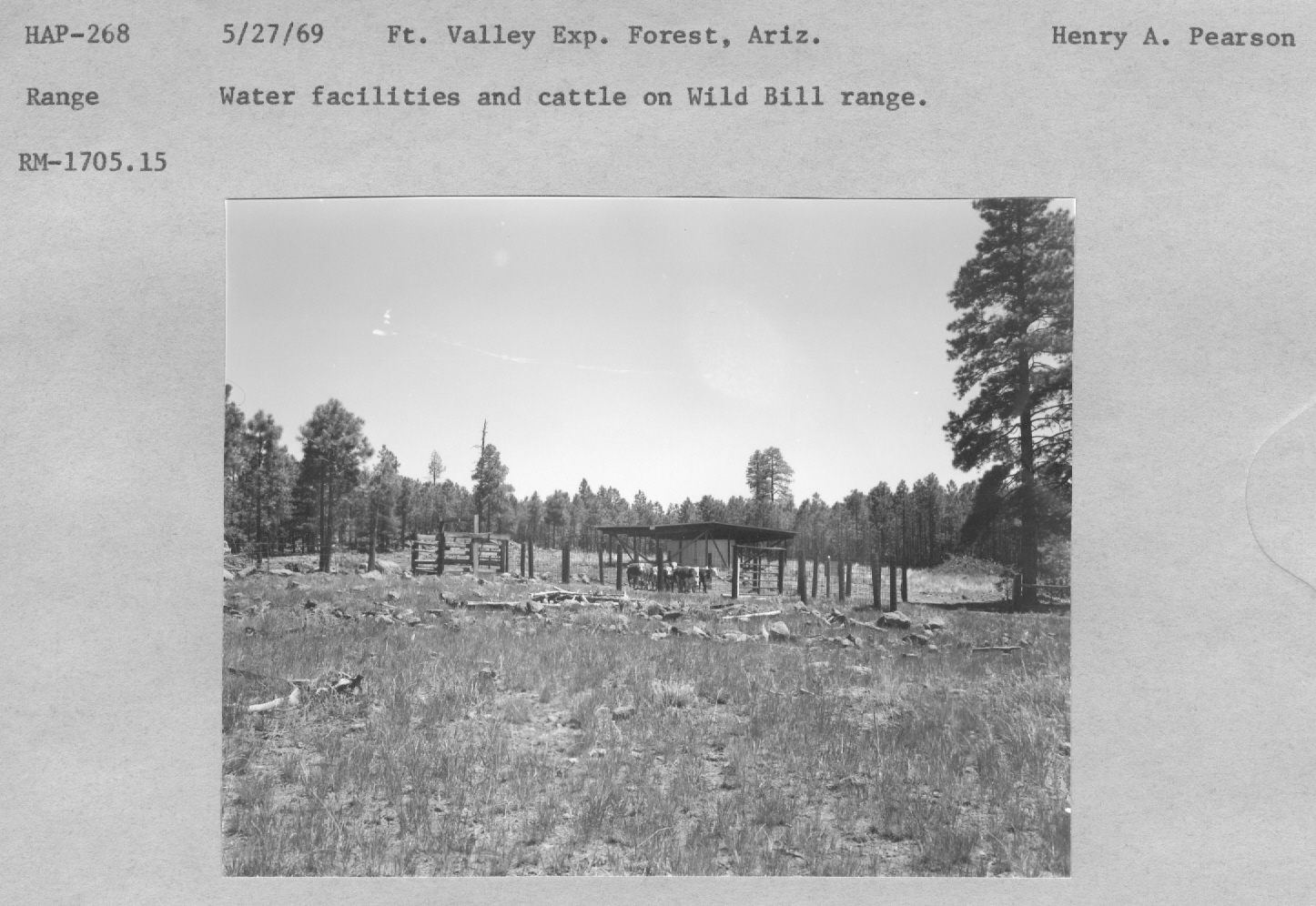 Water facillities and cattle on Wild Bill range. RM-1705.15
