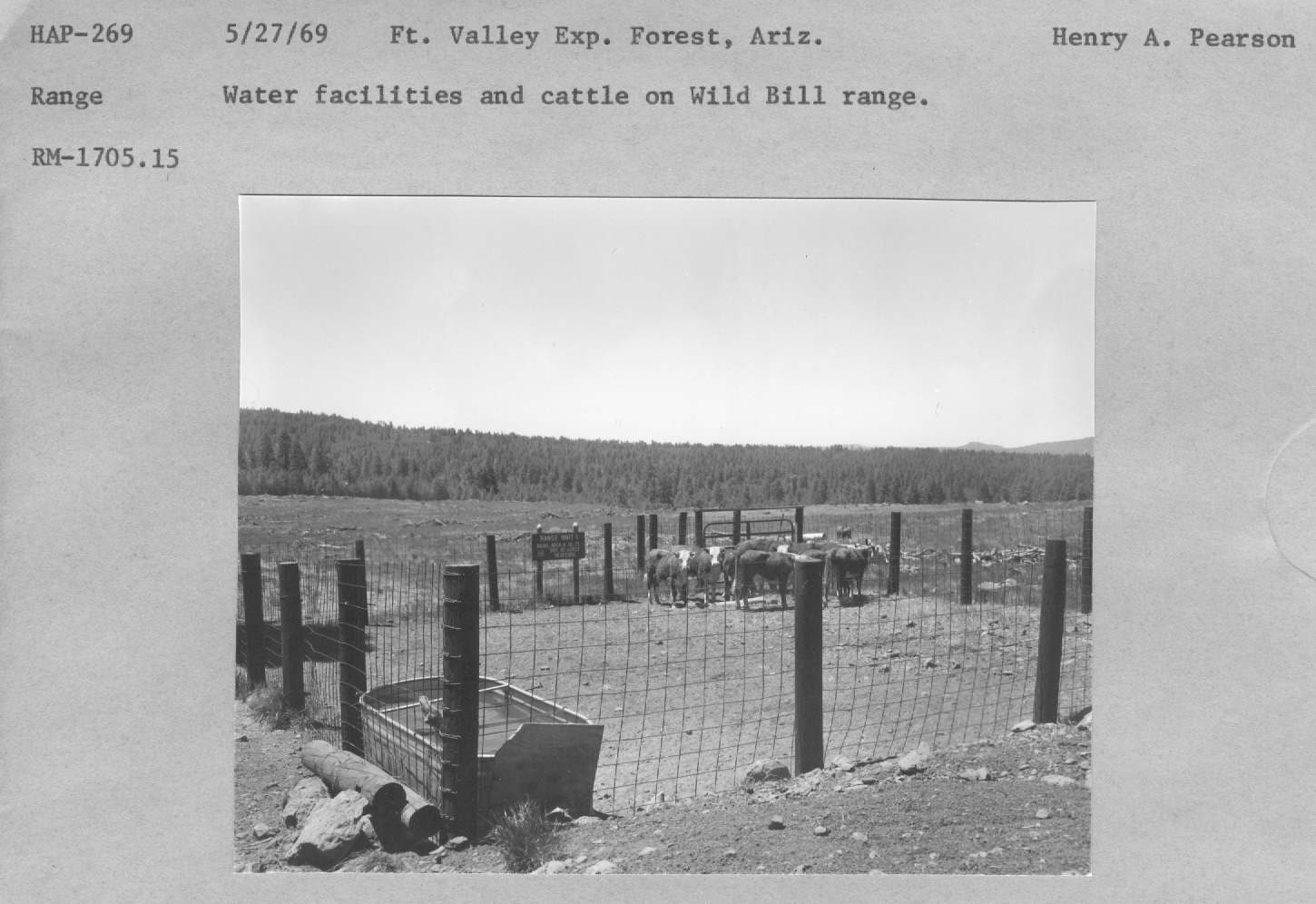 Water facillities and cattle on Wild Bill range. RM-1705.15