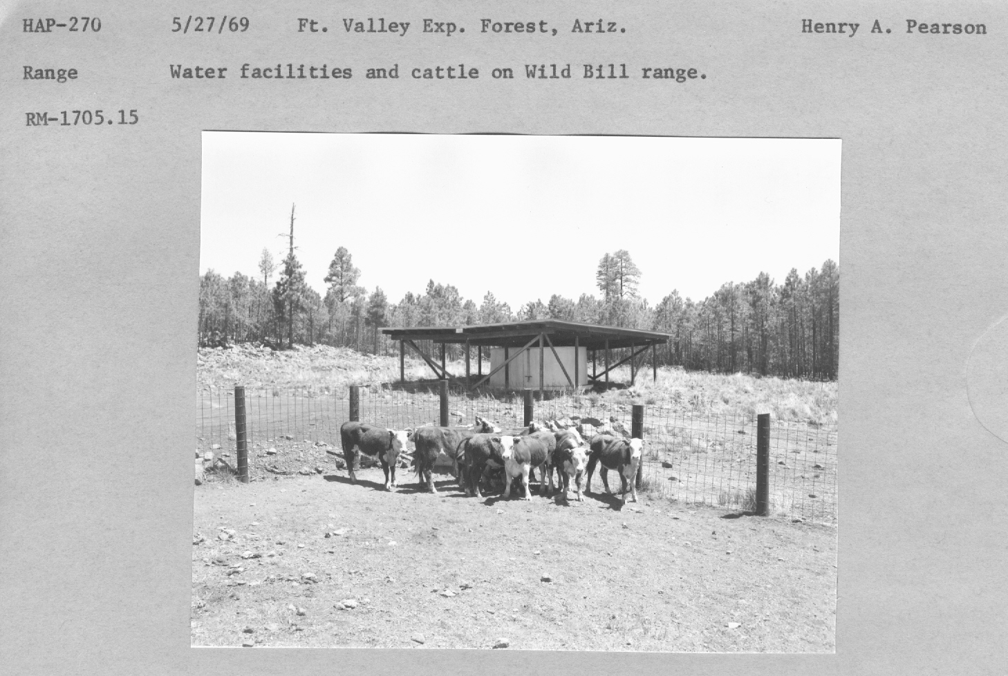 Water facillities and cattle on Wild Bill range. RM-1705.15