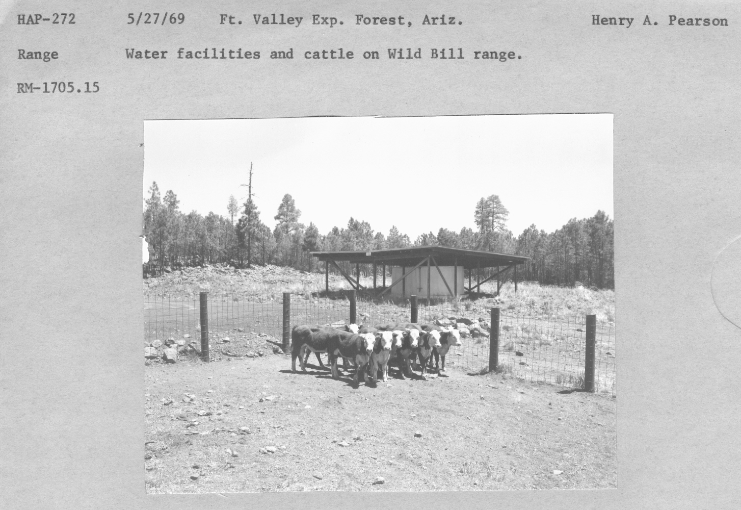 Water facillities and cattle on Wild Bill range. RM-1705.15