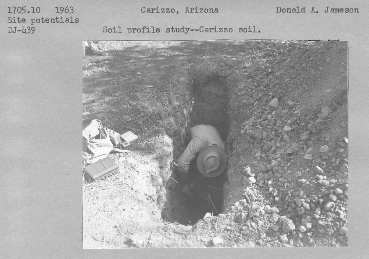 Soil profile study- Carizzo soil