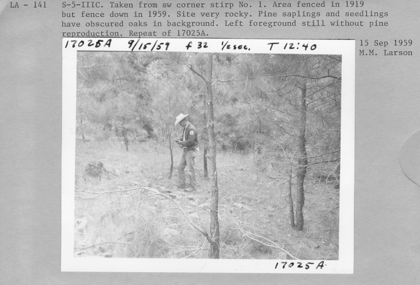 Taken from southwest cor. strip No. 1. Area fenced in 1919 but fence down in 1959. Site very rocky. Pine saplings and seedlings have obscured oaks in background.