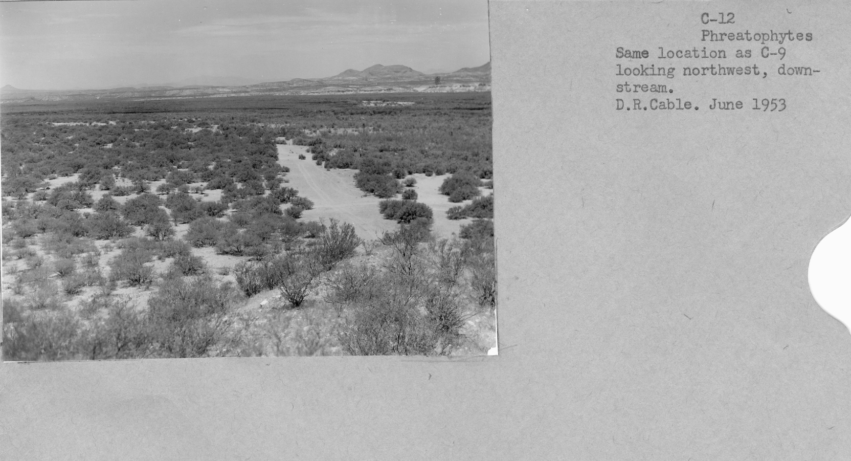 About 12 miles east of Coolidge Dam looking northwest, downstream. 