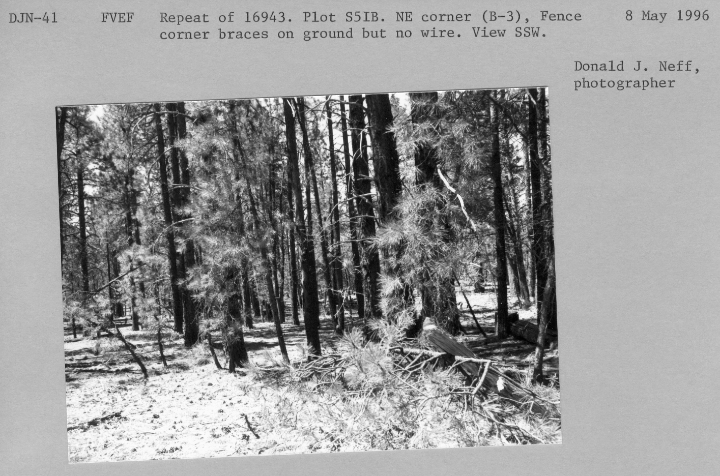 Plot S5-I-B. Repeat of 16943. NE corner (B3), fence corner braces on ground but no wire. View SSW. 