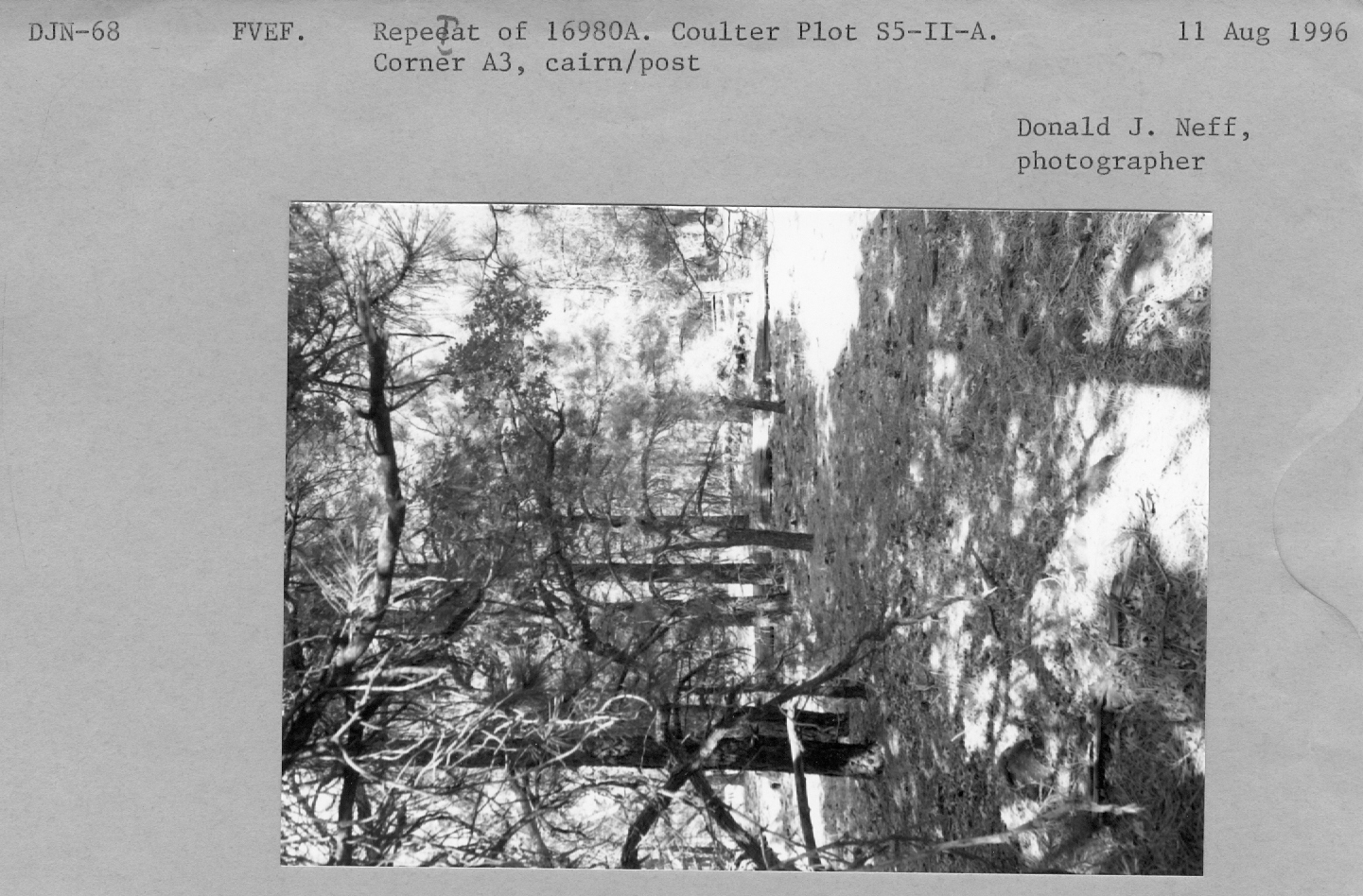 Repeat of 16979a. Coulter Plot S5-II-A. (A-1) corner,cairn/post