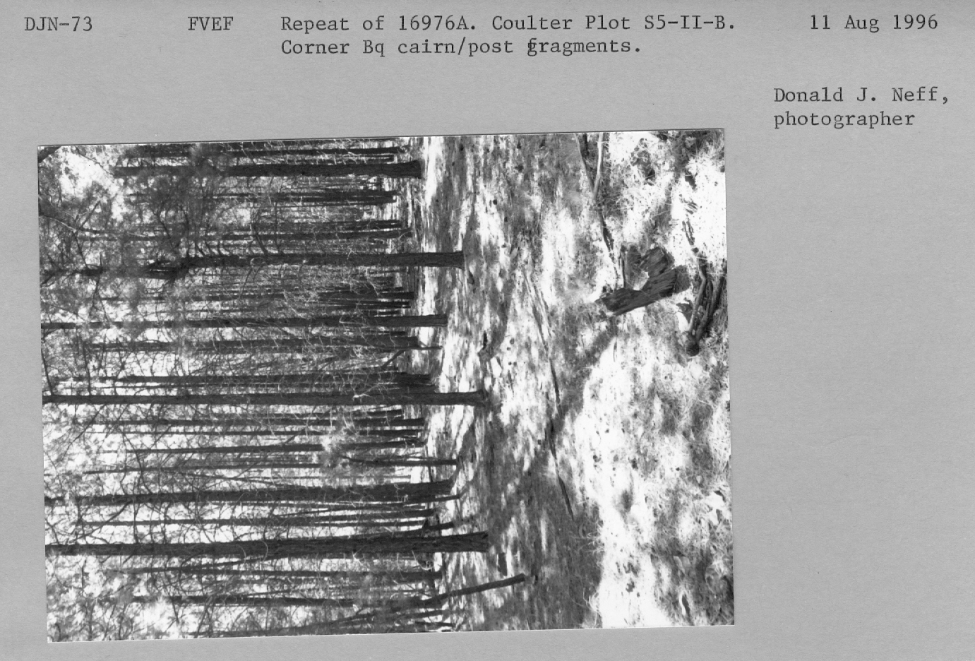 Repeat of 16976a. Coulter Plot S5-II-B. Corner Bq cairn/post fragments