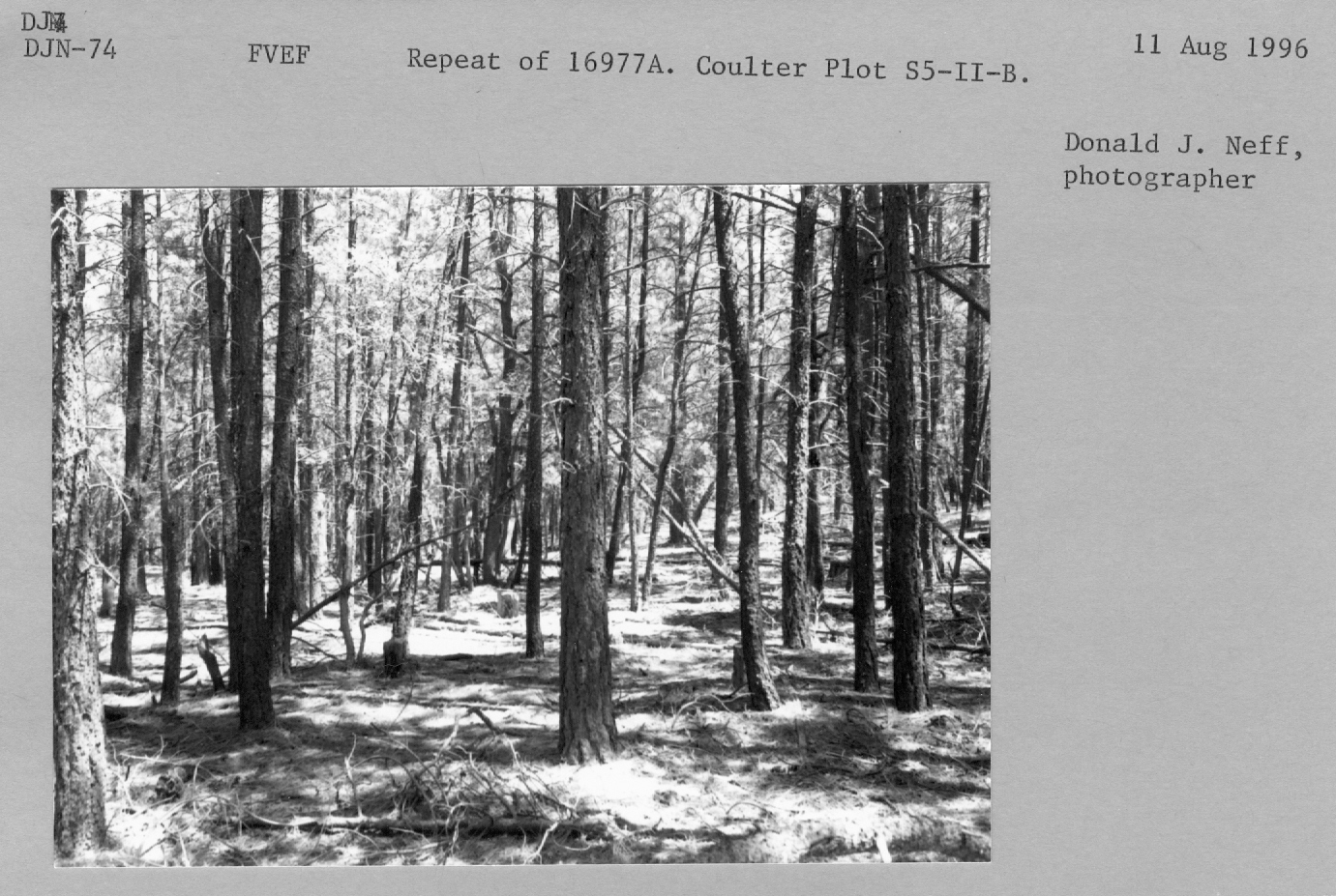Repeat of 16977a. Coulter Plot S5-II-B. 