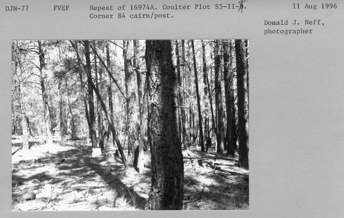 Repeat of 16974a. Coulter Plot S5-II-B. Corner B4 cairn/post 