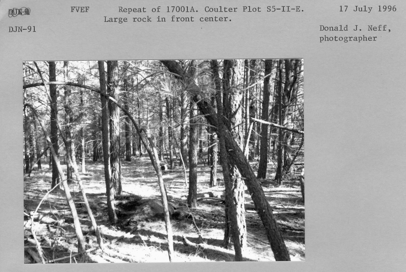 Repeat of 17001a. Coulter Plot S5-II-E. Large rock in front center. 