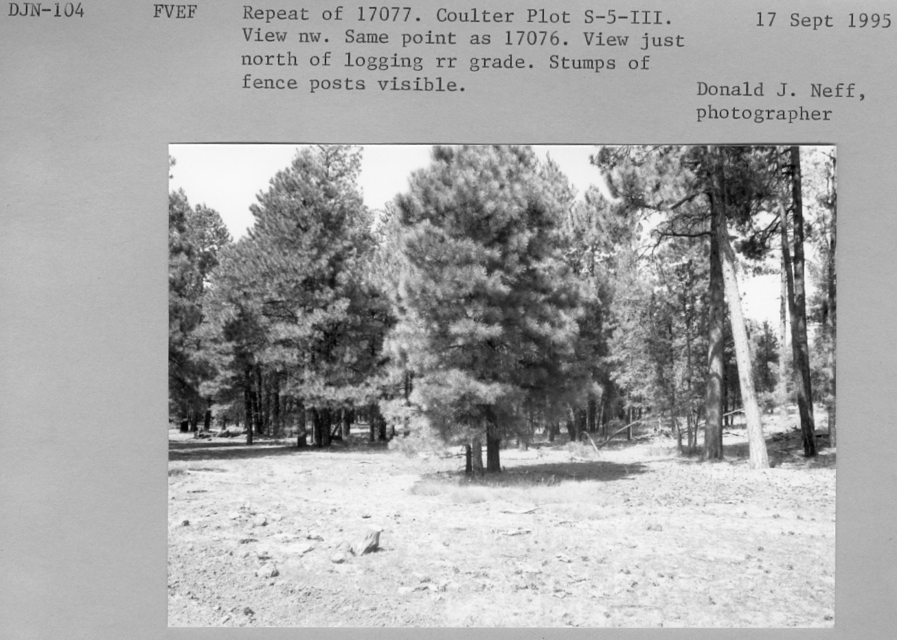 Repeat of 17077. Coulter Plot S5-III. View NW. Same point as 17076. View just north of lodging rr grade. Stumps of fence posts visible. 