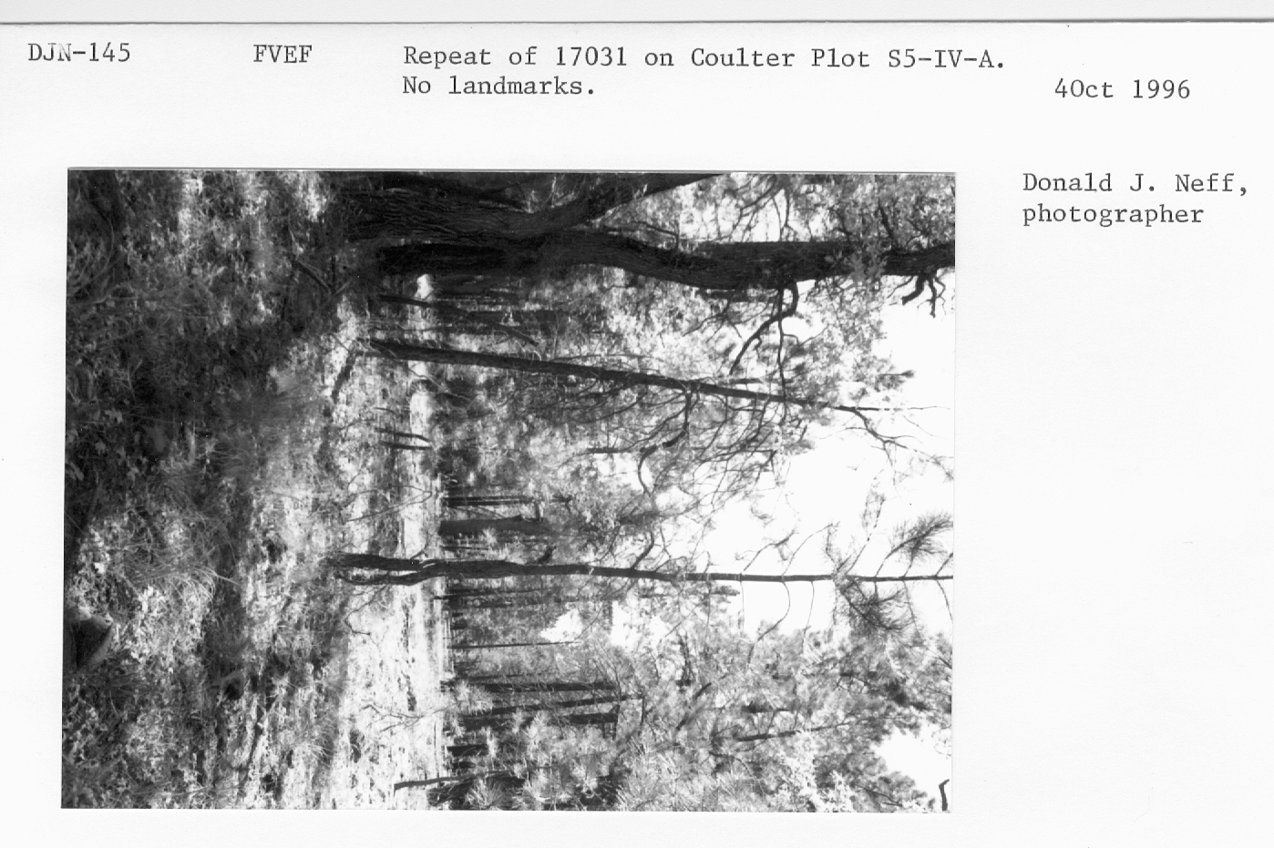 Repeat 17031 on Coulter plot S5-IV-A. No landmarks