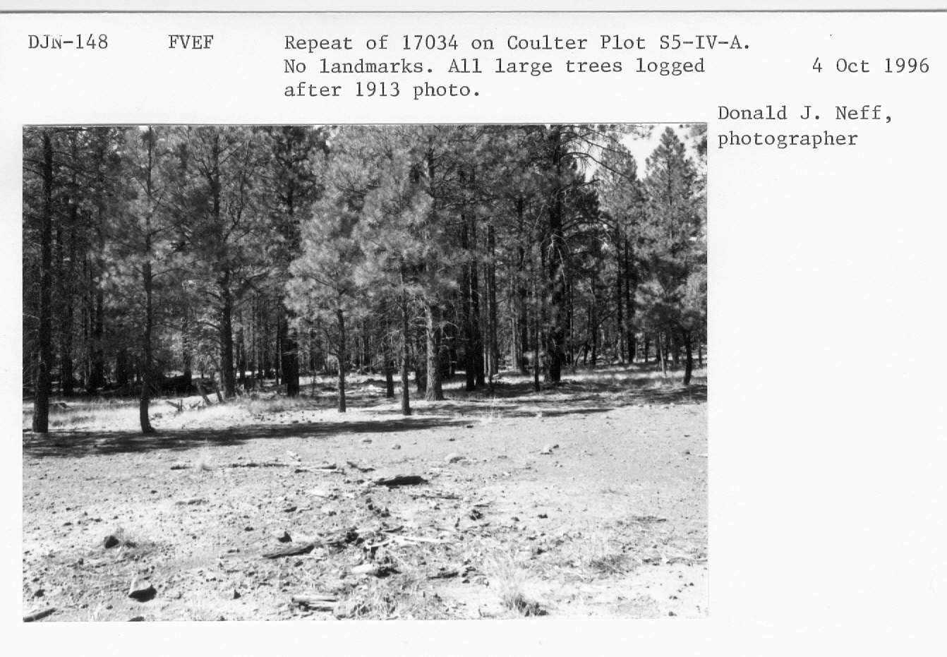 Repeat 17034 on Coulter plot S5-IV-A. No landmarks. All large trees logged after 1913 photo. 