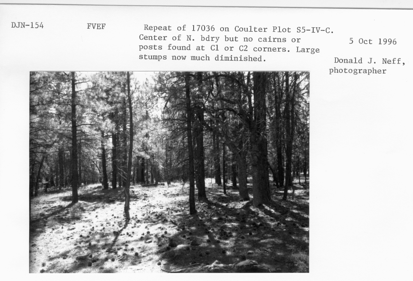 Repeat 17036 on Coulter plot S5-IV-C. Center of N bdry but no cairns or posts found at C1 or C2 corners. Large stumps now much diminished. 