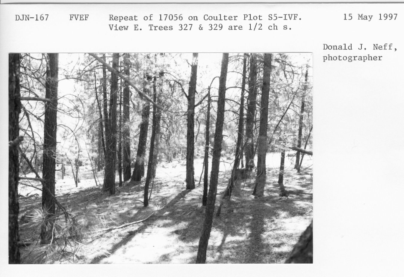 Repeat 17056 on Coulter plot S5-IV-F. View E. Trees 327 & 329  are 1/2 ch. S. 