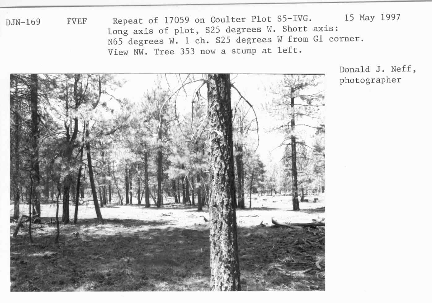 Repeat 17059 on Coulter plot S5-IVG. Long axis of plot, S25 degrees W. Short axis: N65 degrees W. 1 ch S 25 degrees W from G1 corner. View NW. Tree 353 now a stump at left. 