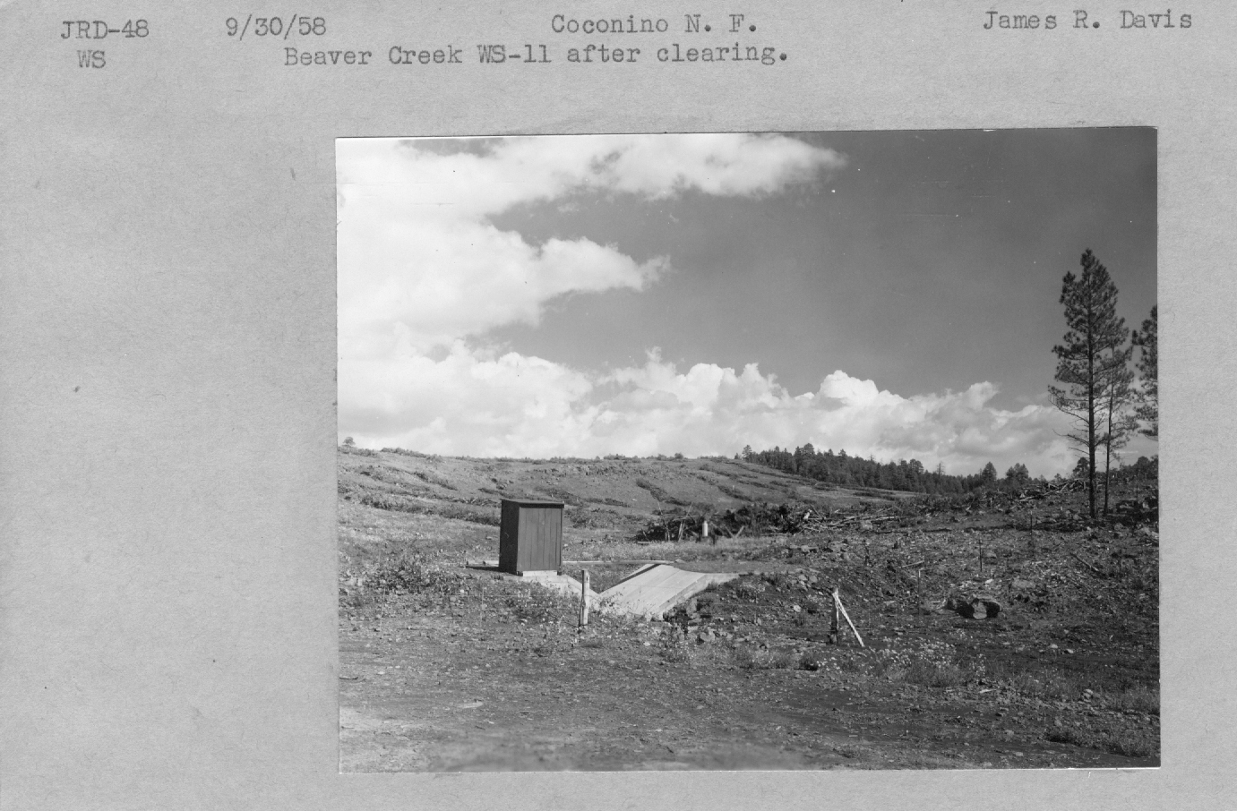Beaver creek WS-11 after clearing.