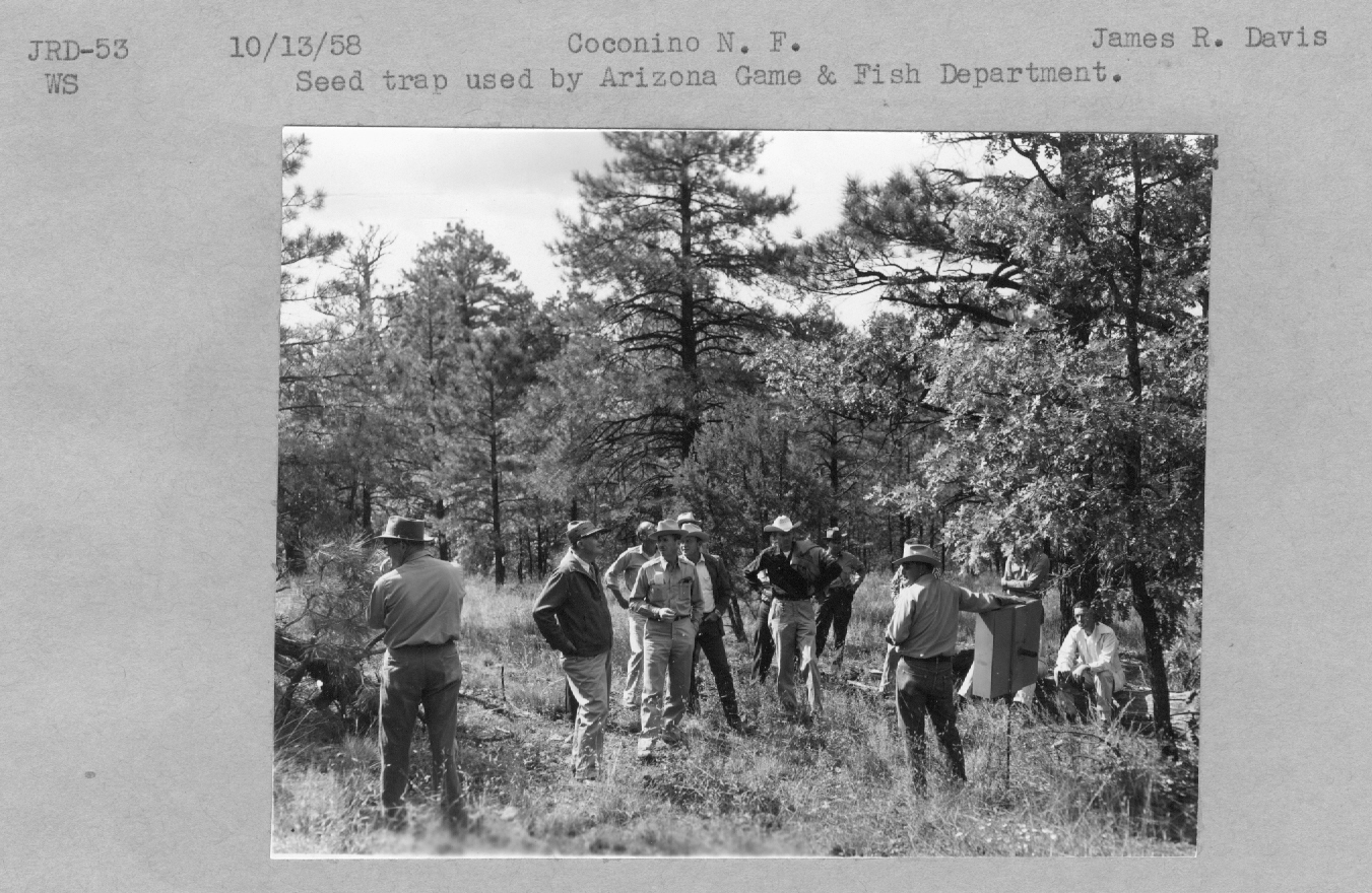 Seed trap used by Arizona Game and Fish department
