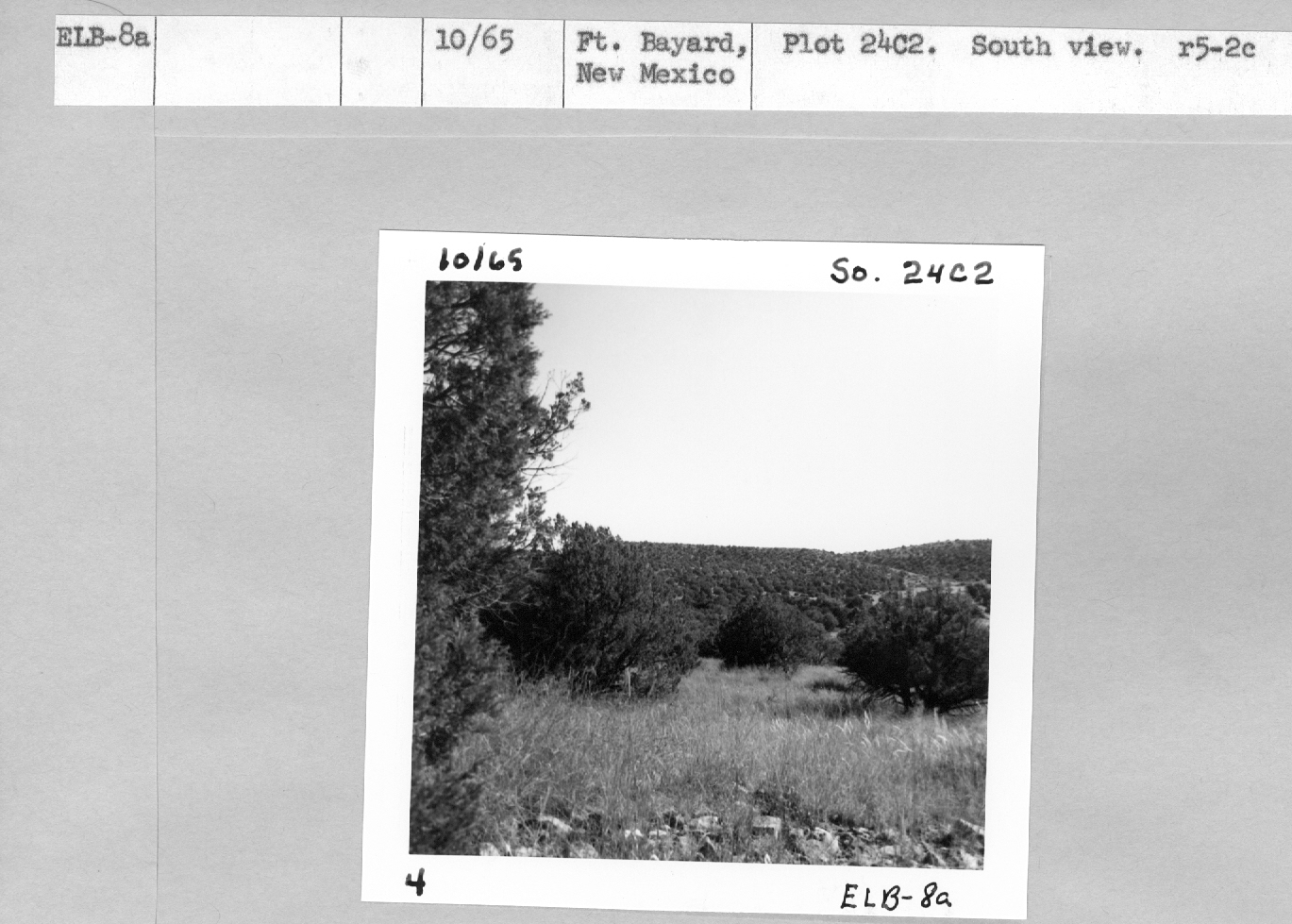 Plot 24C2. South View. r5-2c