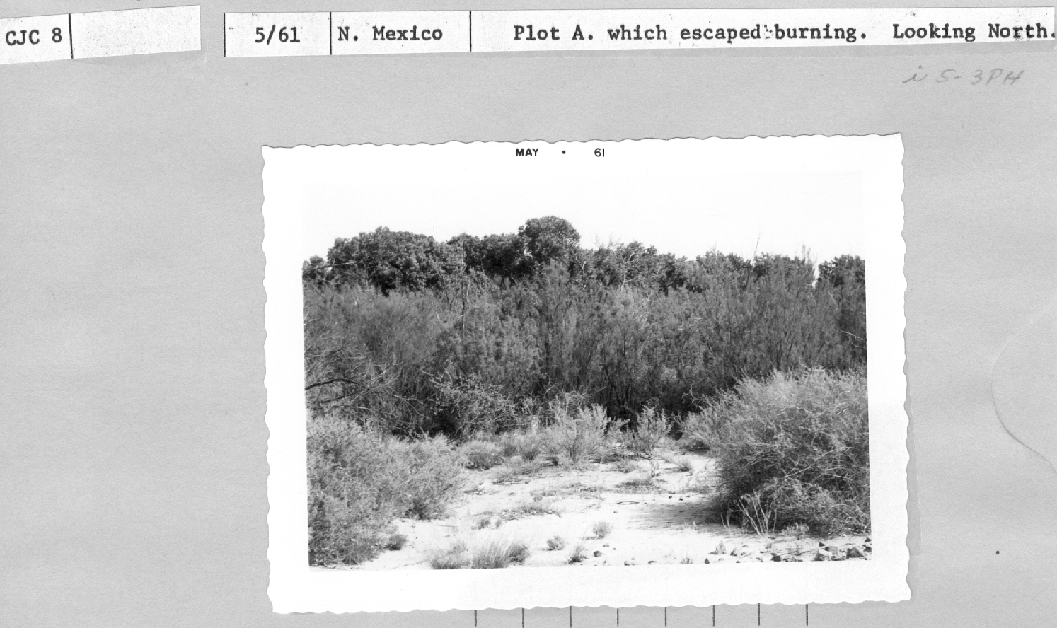 range study plot