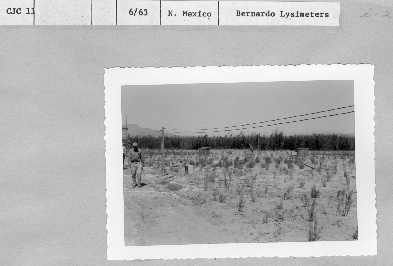Bernardo Lysimeters