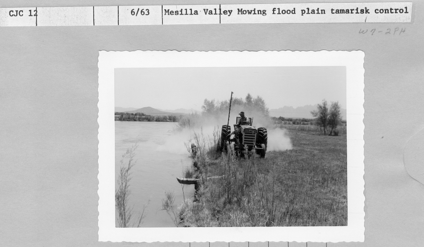 Mowing flood plain tamarisk control. 
