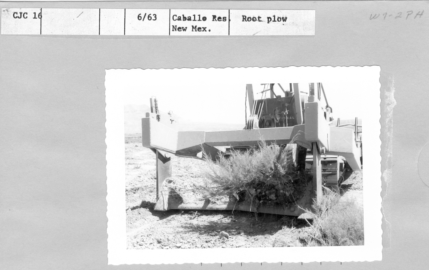Root plow.