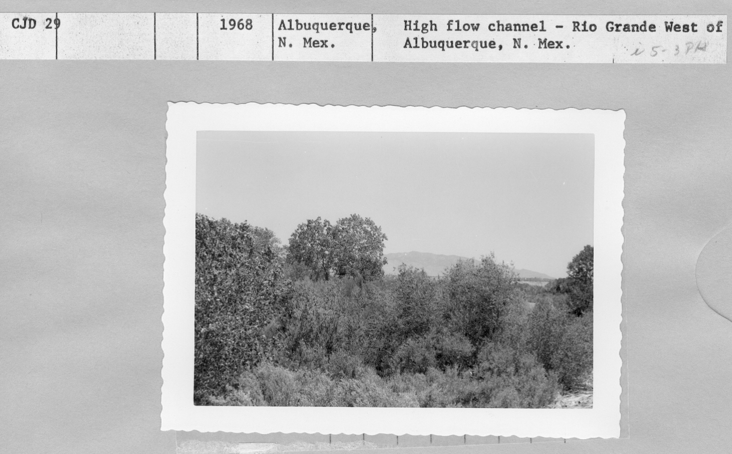 High Flow channel-Rio Grande West of Albuquerque