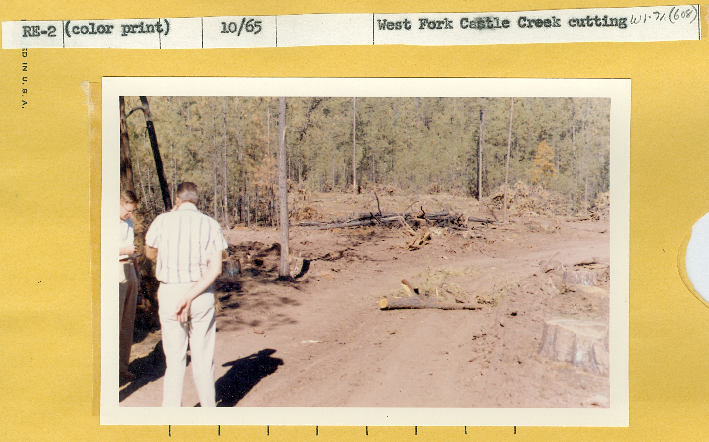 West Fork Castle Creek cutting