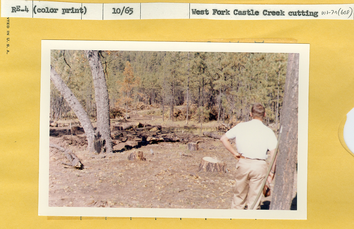West Fork Castle Creek cutting