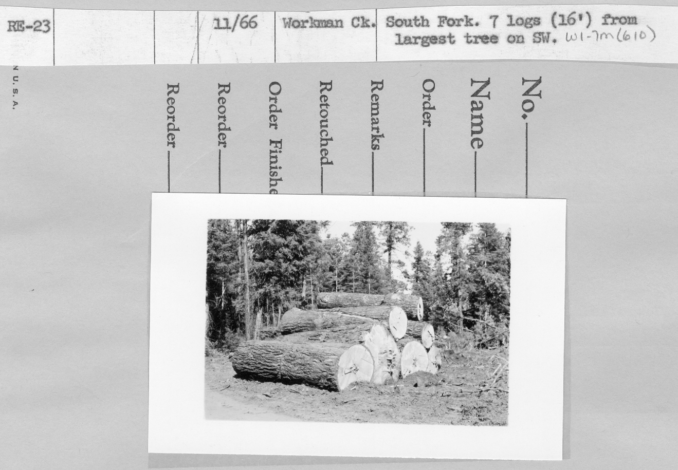 logs 