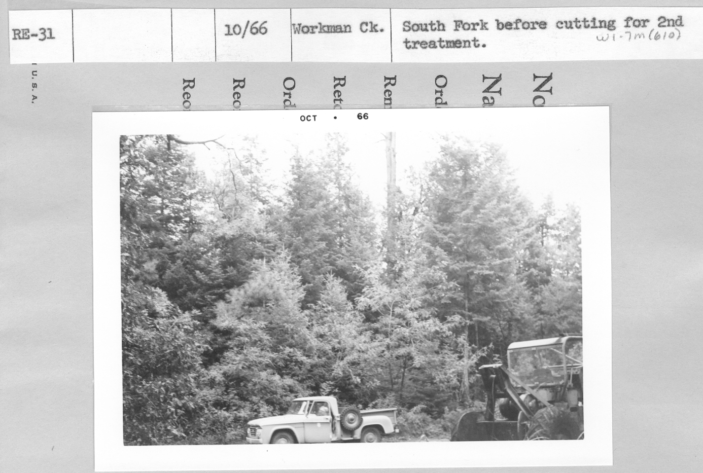 Workman Ck. South Fork before cutting for 2nd treatment. 