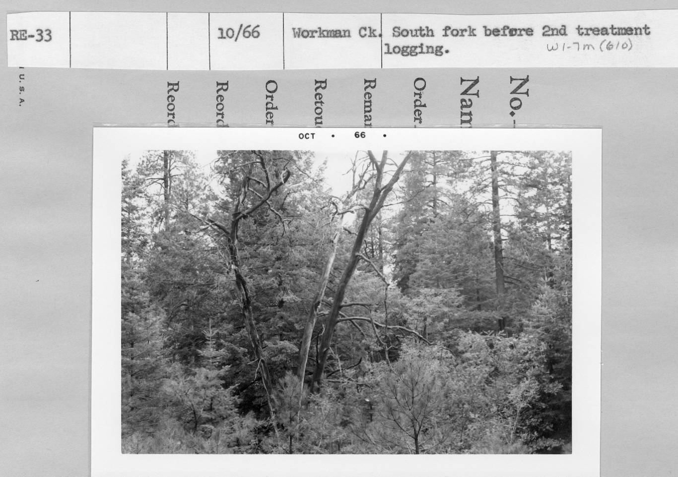 Workman Ck. South Fork before 2nd treatment logging. 