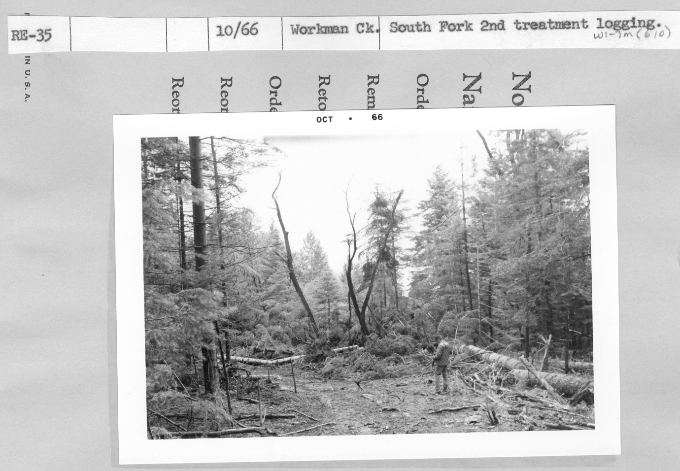 South Fork 2nd treatment logging.