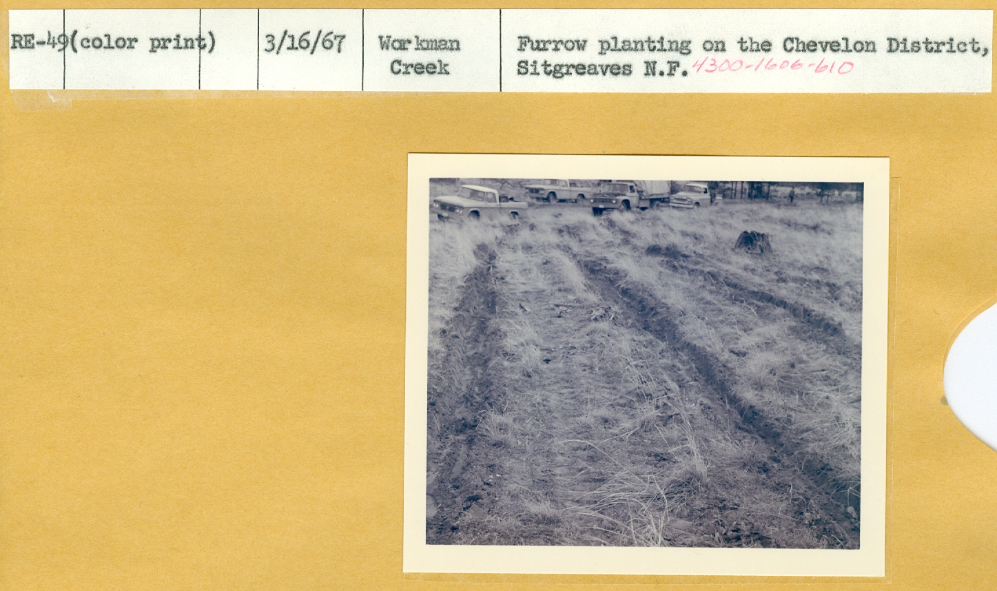 Furrow planting on the Chevelon District.