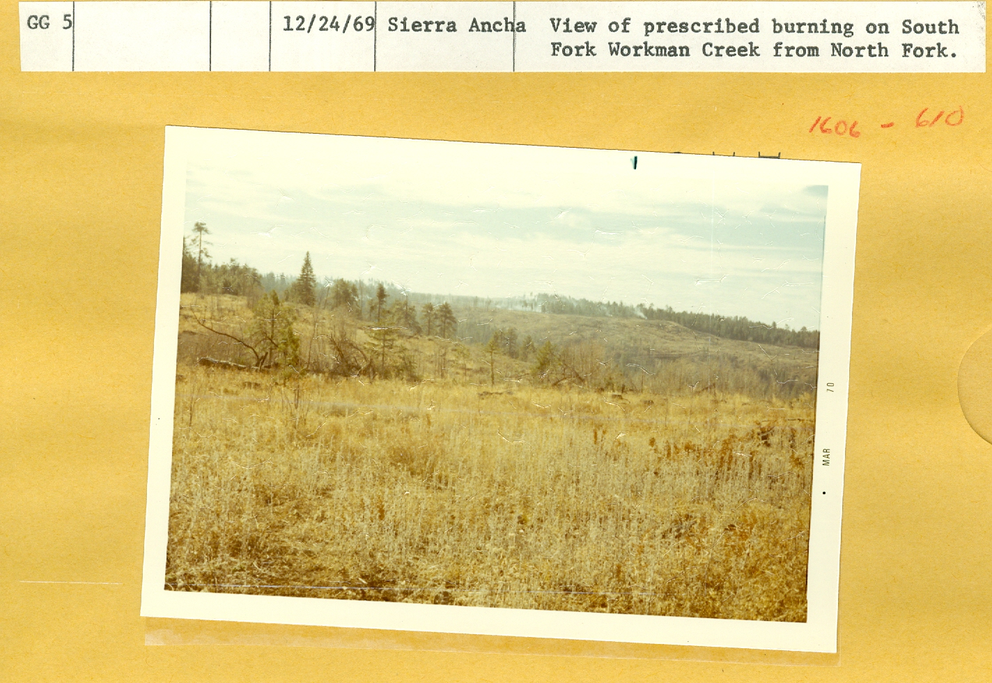 prescribed burn 