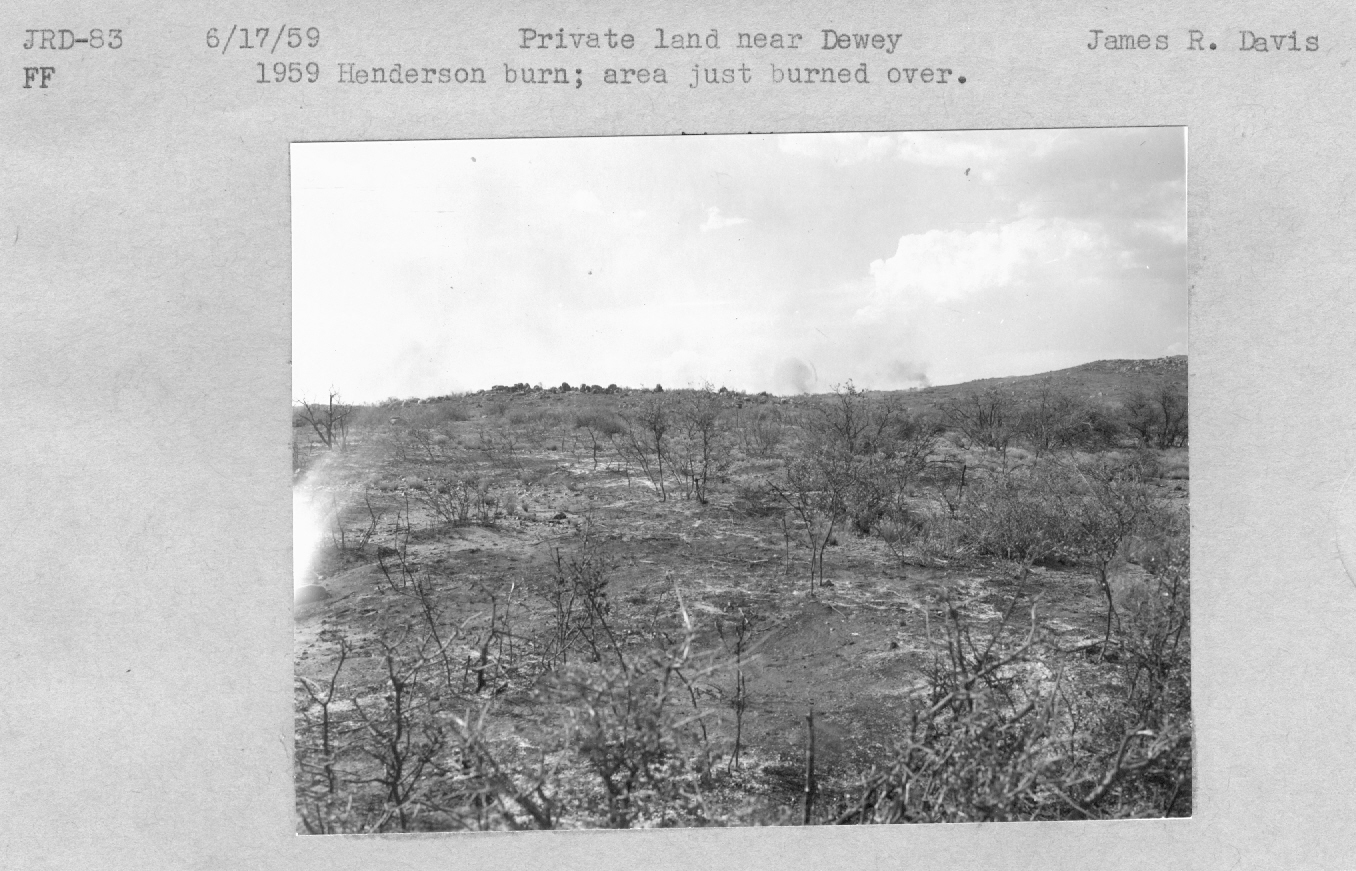 1959 Henderson burn; area just burned over