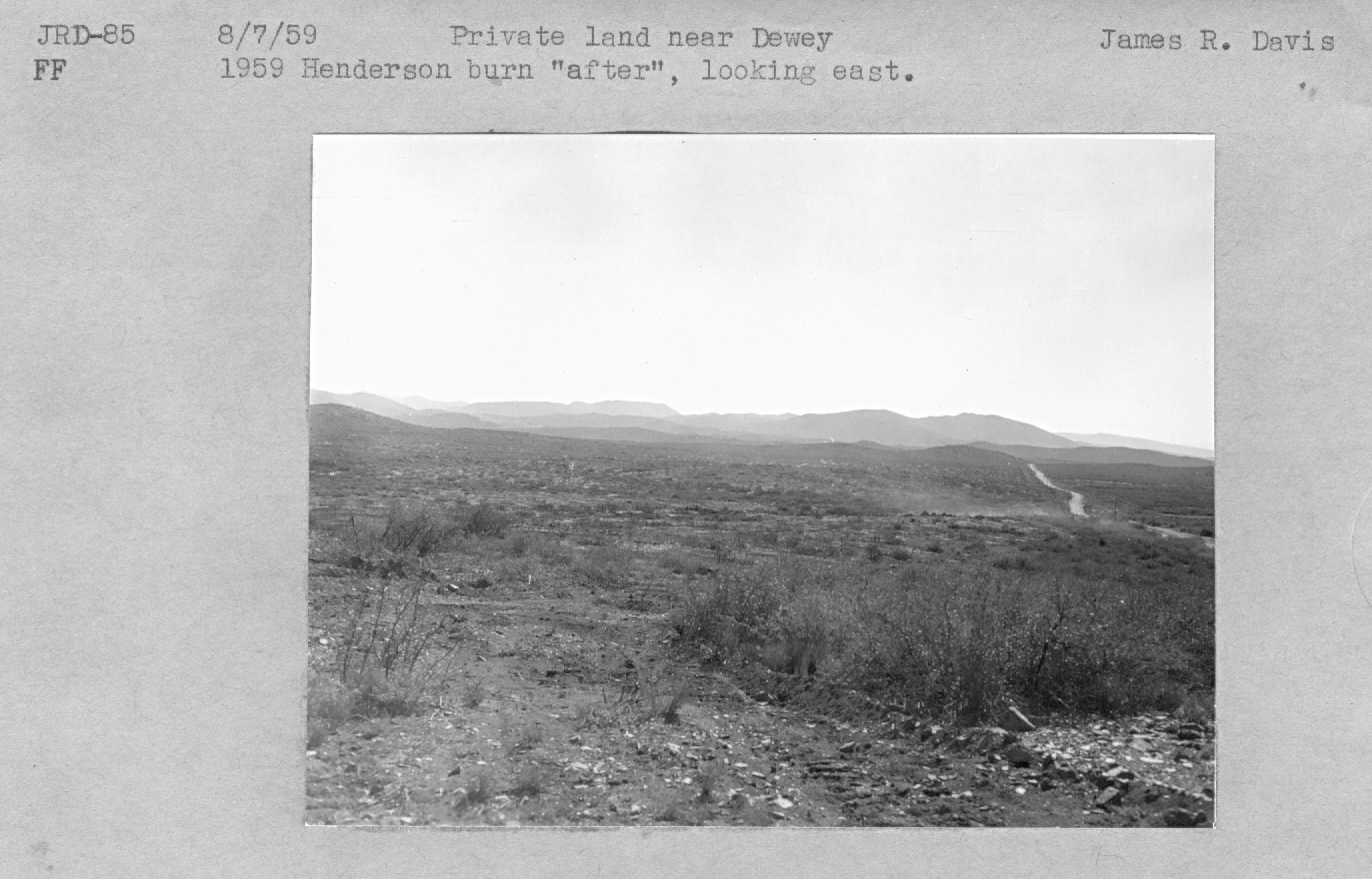 1959 Henderson burn 'after'