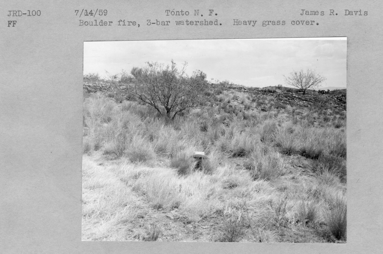 Boulder fire, heavy grass cover