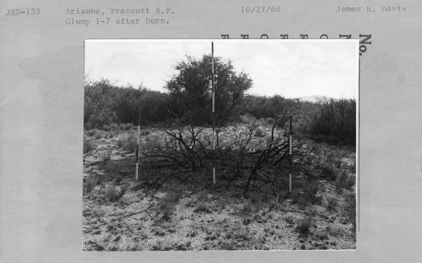 Clump 1-7 after burn