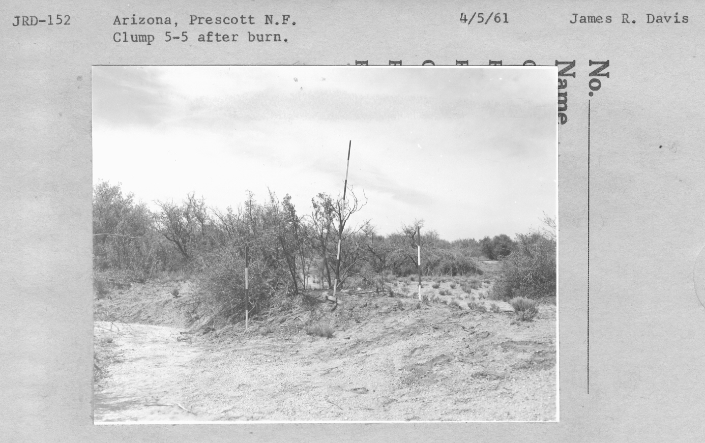 clump 5-5 after burn