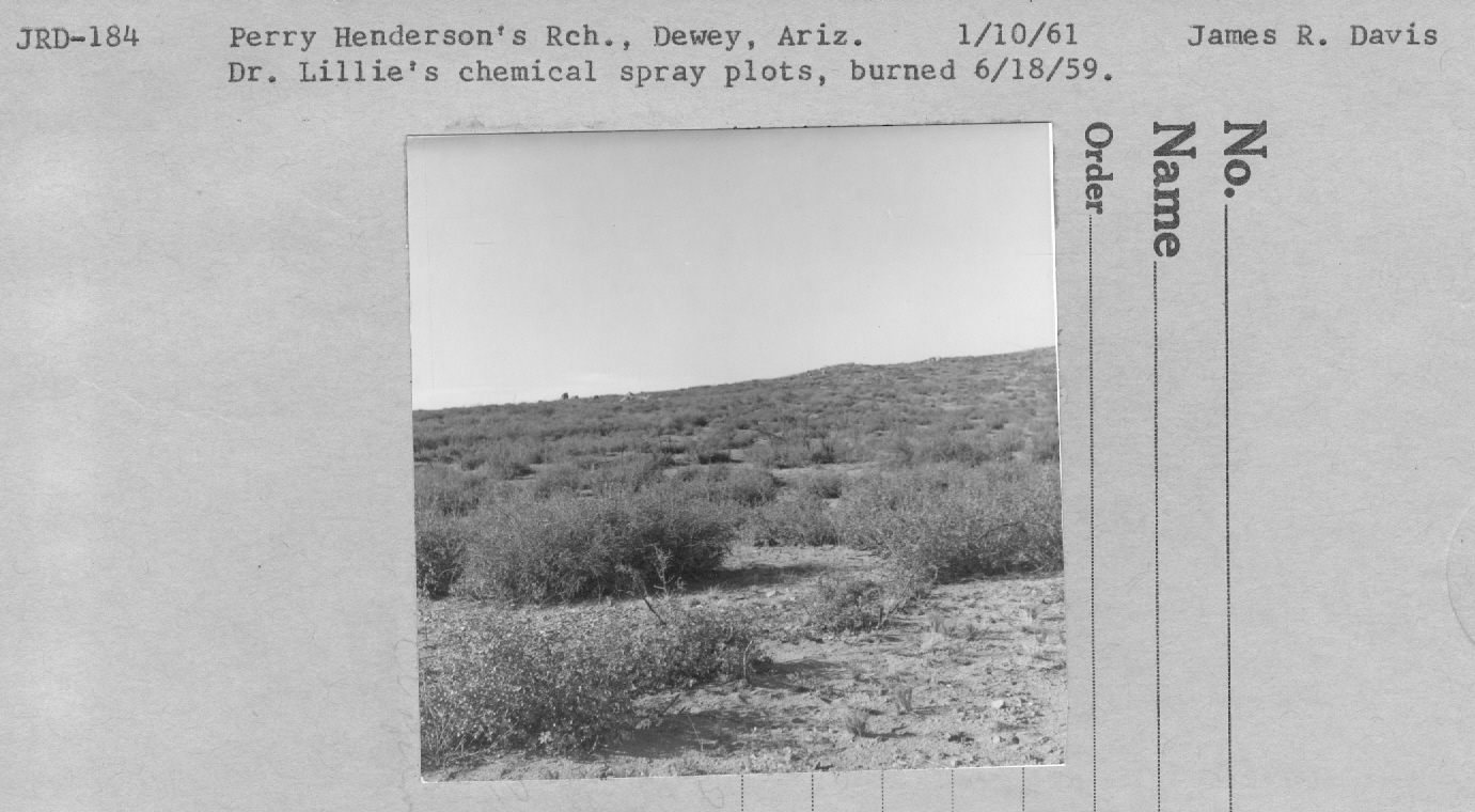 chemical spray plots