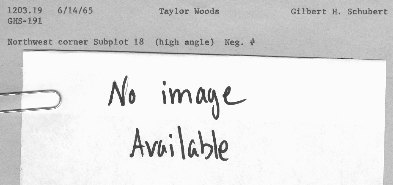 Taylor Woods, nw corner subplot 18
