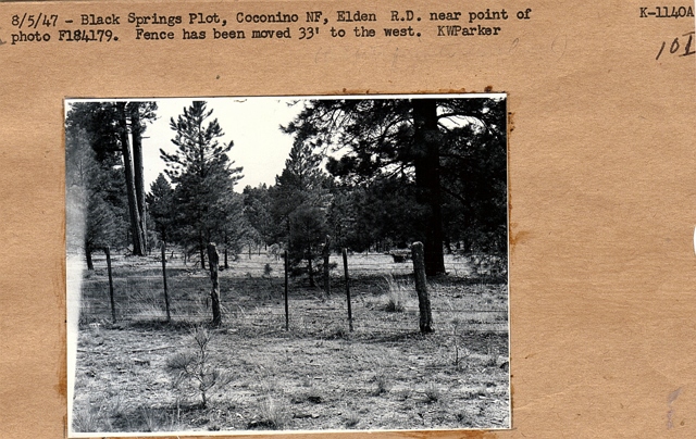 Black Springs plot, repeat photo
