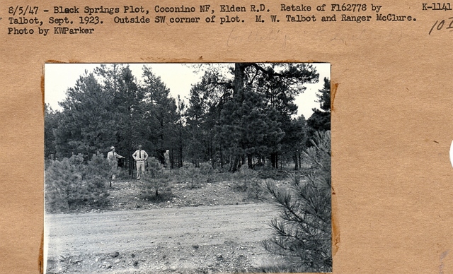 Black Springs plot, repeat photo